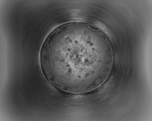 X0000093501283200710121506
