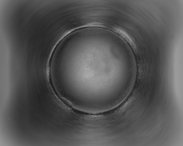 X0000093501284200710121506