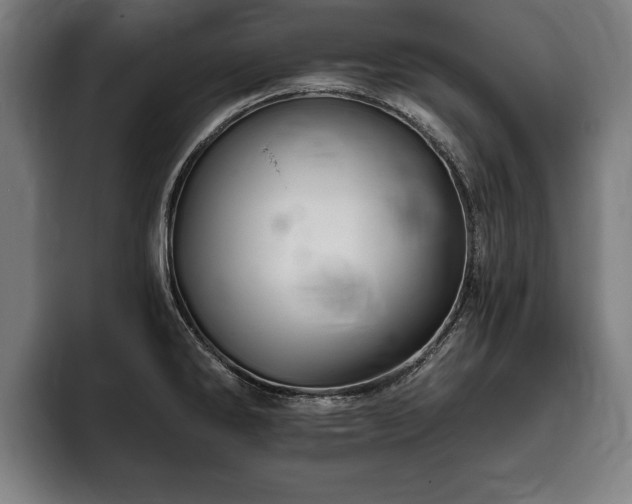 X0000093501286200710121506