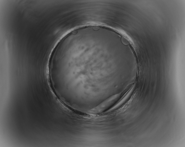 X0000093501287200710121506