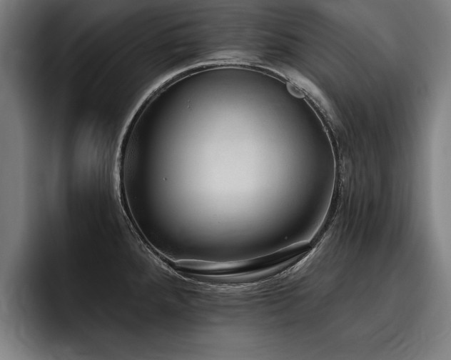 X0000093501288200710121506