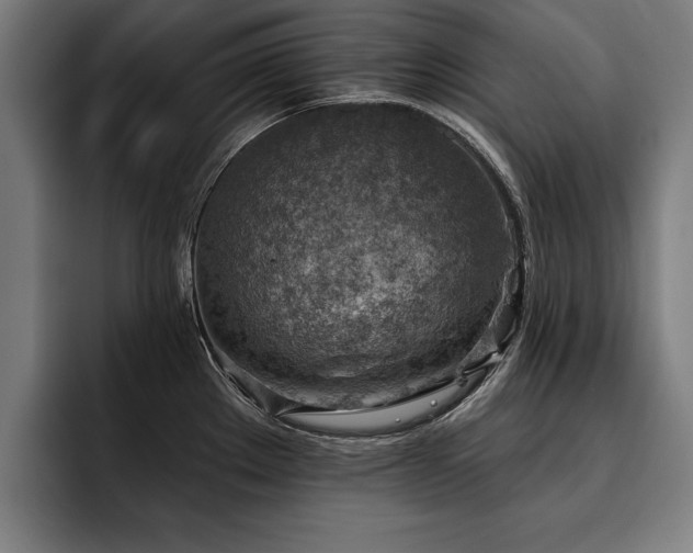 X0000093501289200710121506