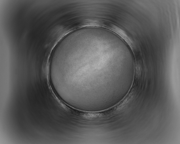 X0000093501290200710121506