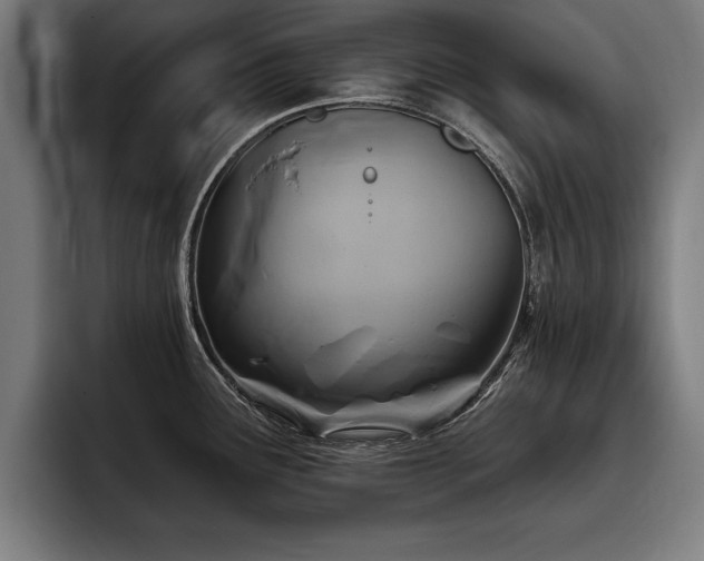 X0000093501291200710121506