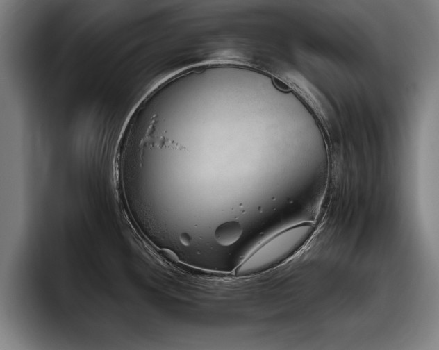 X0000093501292200710121506