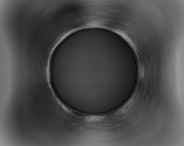 X0000093501294200710121506
