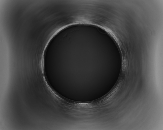 X0000093501295200710121506