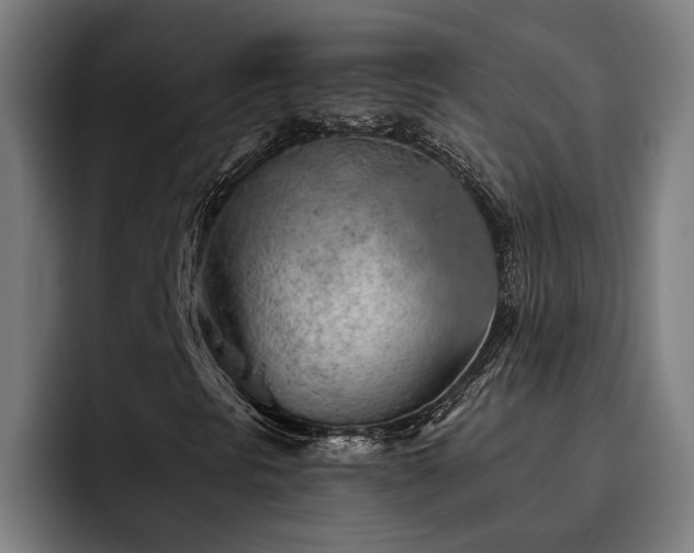 X0000093501297200710121506