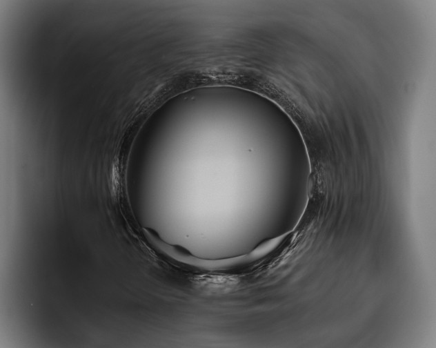 X0000093501298200710121506