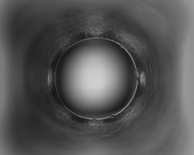 X0000093501299200710121506