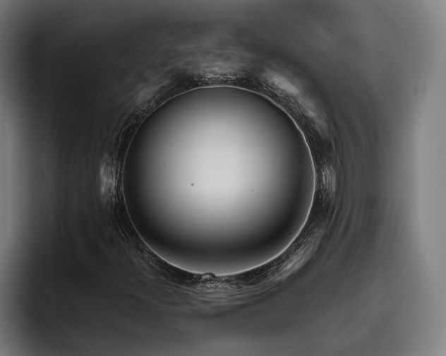 X0000093501300200710121506