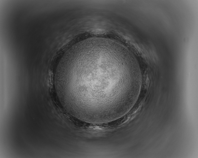 X0000093501301200710121506