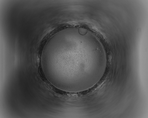 X0000093501302200710121506