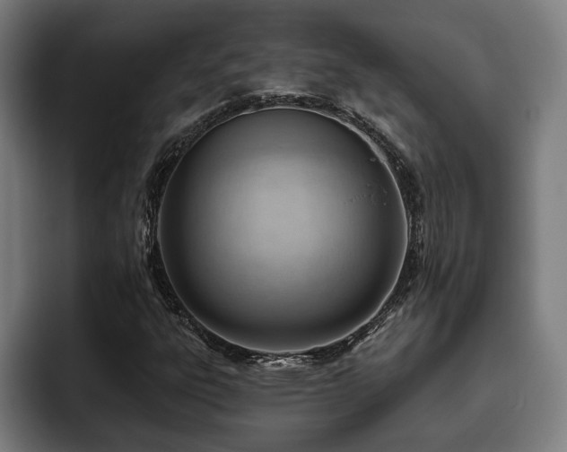 X0000093501303200710121506