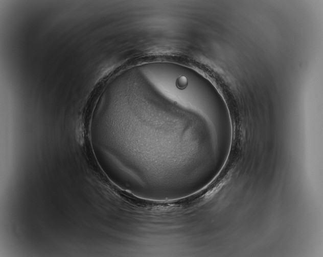 X0000093501306200710121506