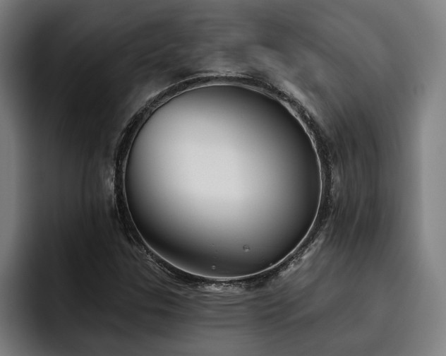 X0000093501307200710121506
