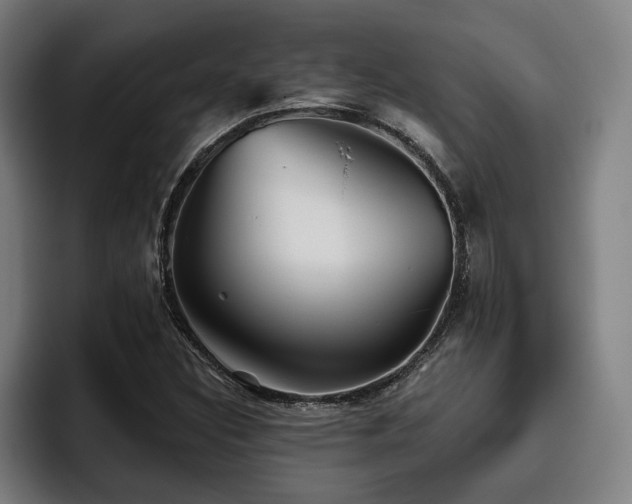 X0000093501308200710121506