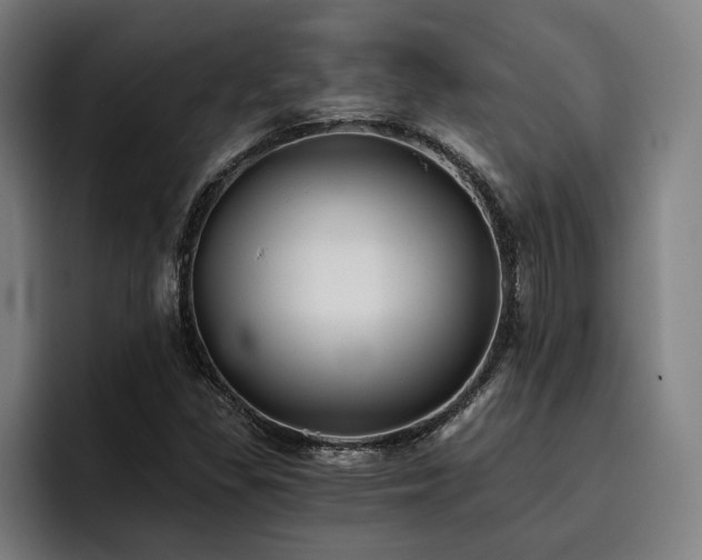 X0000093501309200710121506