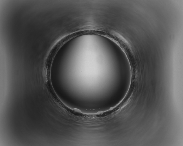X0000093501310200710121506
