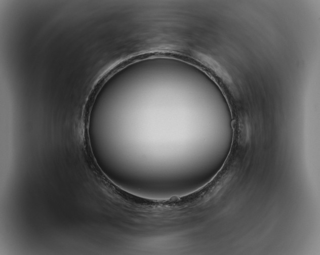 X0000093501316200710121506