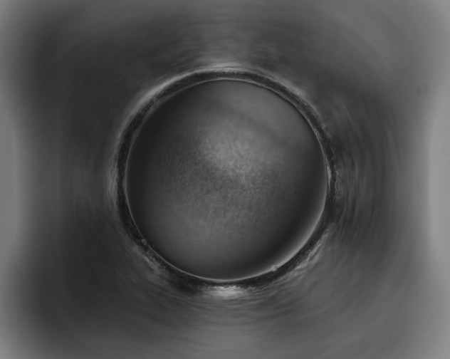 X0000093501319200710121506