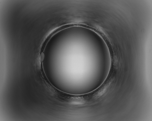 X0000093501320200710121506