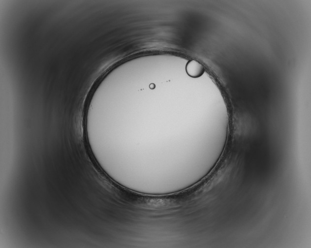 X0000093501322200710121506
