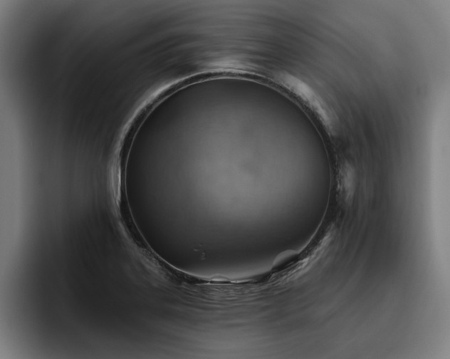 X0000093501323200710121506