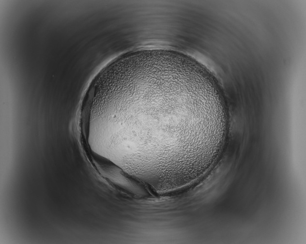 X0000093501325200710121506
