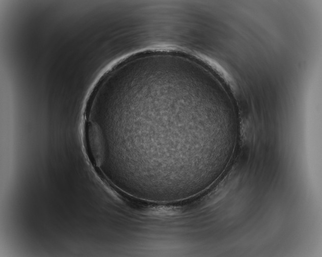 X0000093501327200710121506