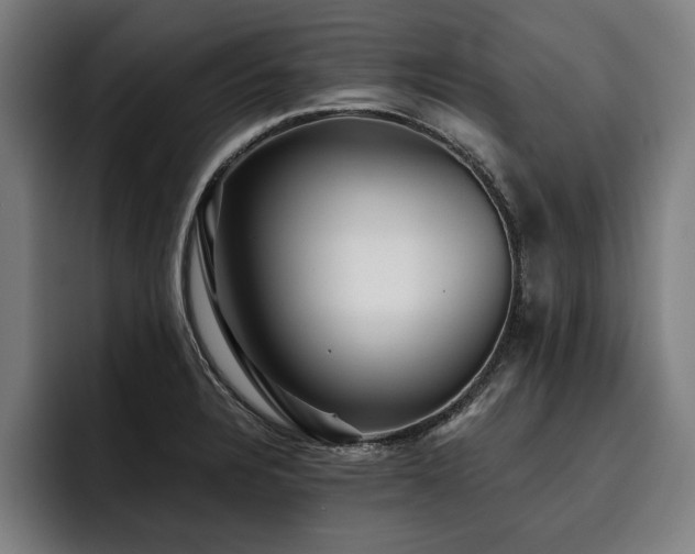 X0000093501328200710121506