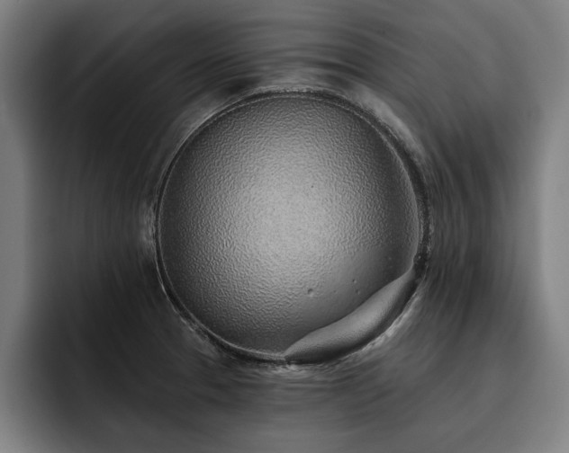 X0000093501329200710121506