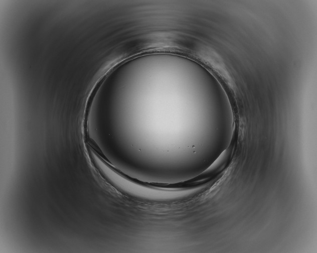 X0000093501330200710121506
