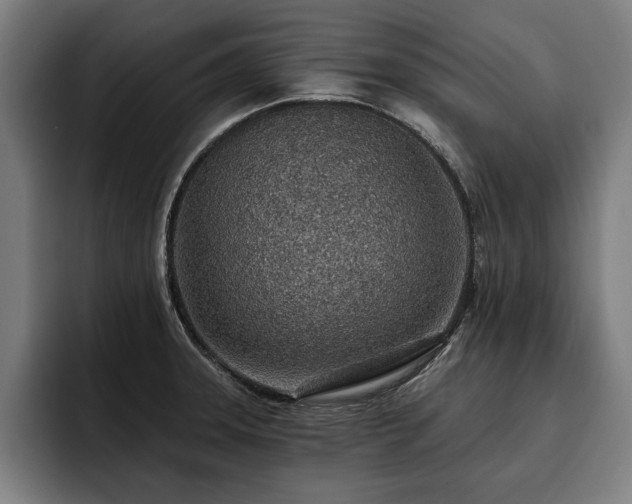 X0000093501331200710121506