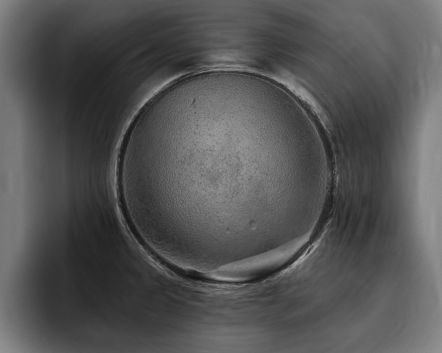 X0000093501333200710121506