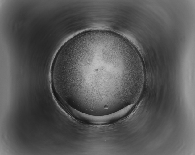 X0000093501335200710121506