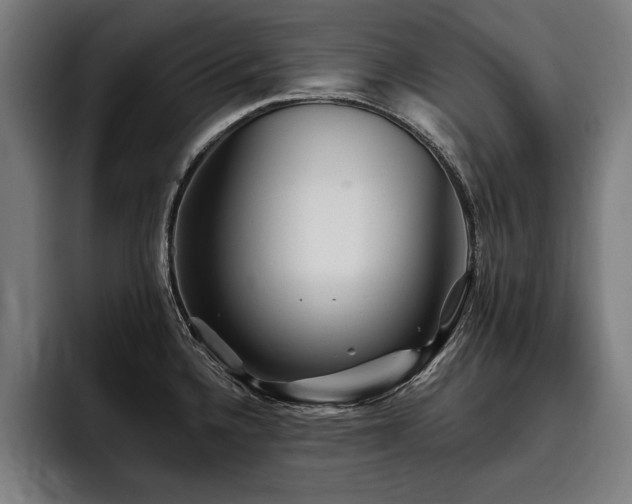 X0000093501336200710121506