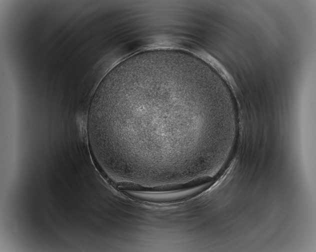 X0000093501337200710121506