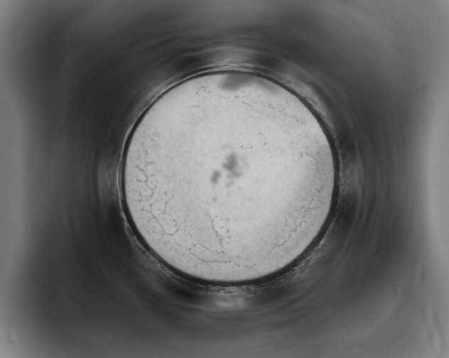 X0000093501338200710121506