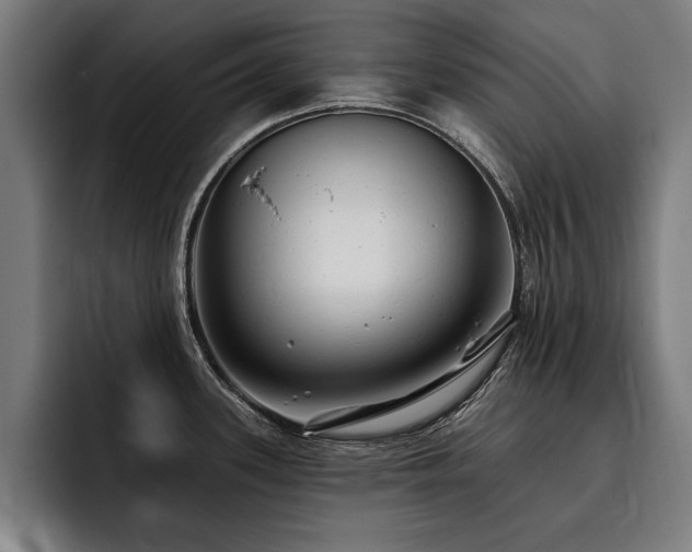 X0000093501339200710121506