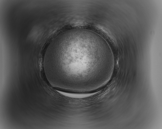X0000093501348200710121506