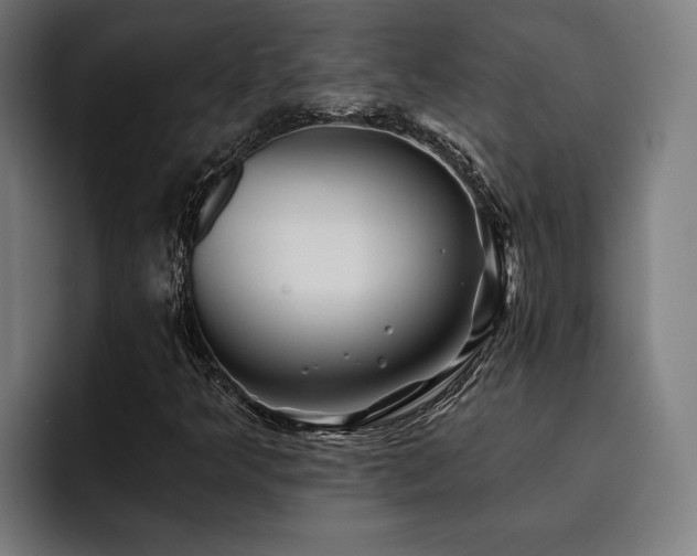 X0000093501349200710121506