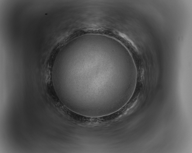 X0000093501350200710121506