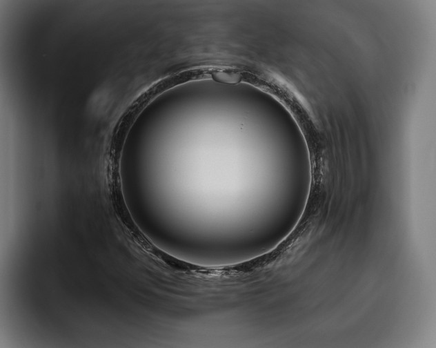 X0000093501352200710121506