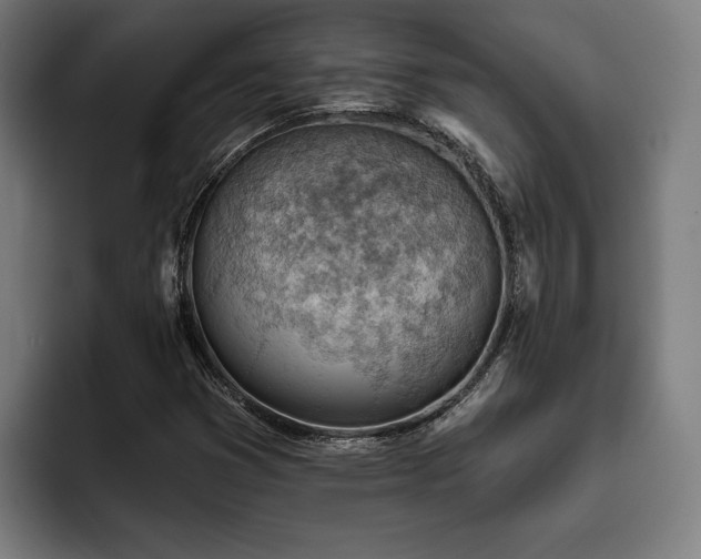 X0000093501353200710121506