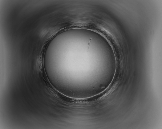 X0000093501354200710121506