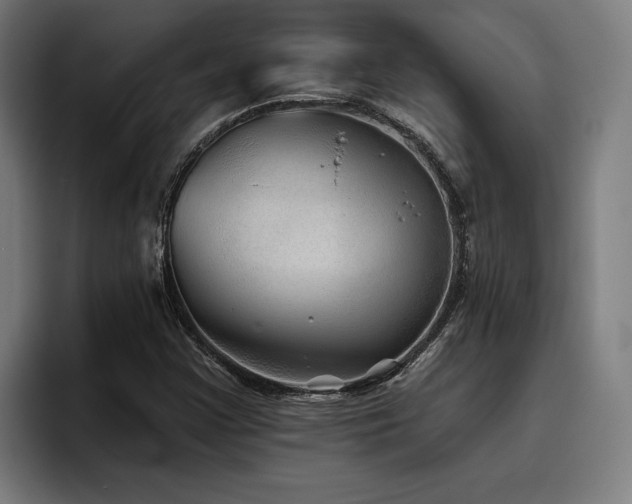 X0000093501355200710121506