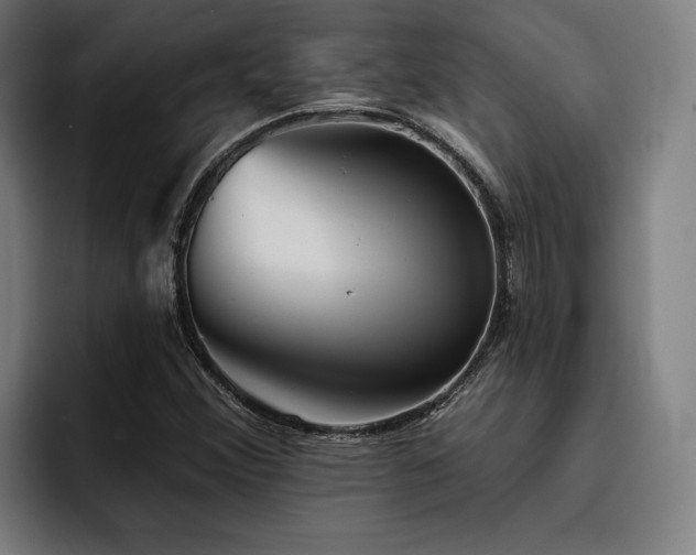 X0000093501356200710121506