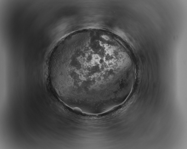 X0000093501359200710121506