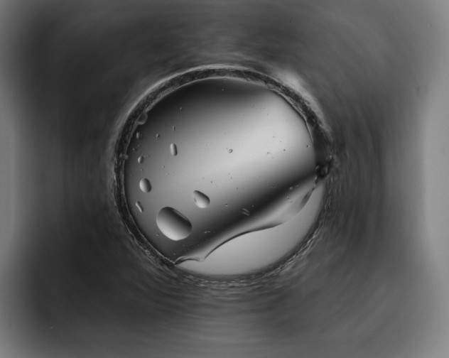 X0000093501360200710121506